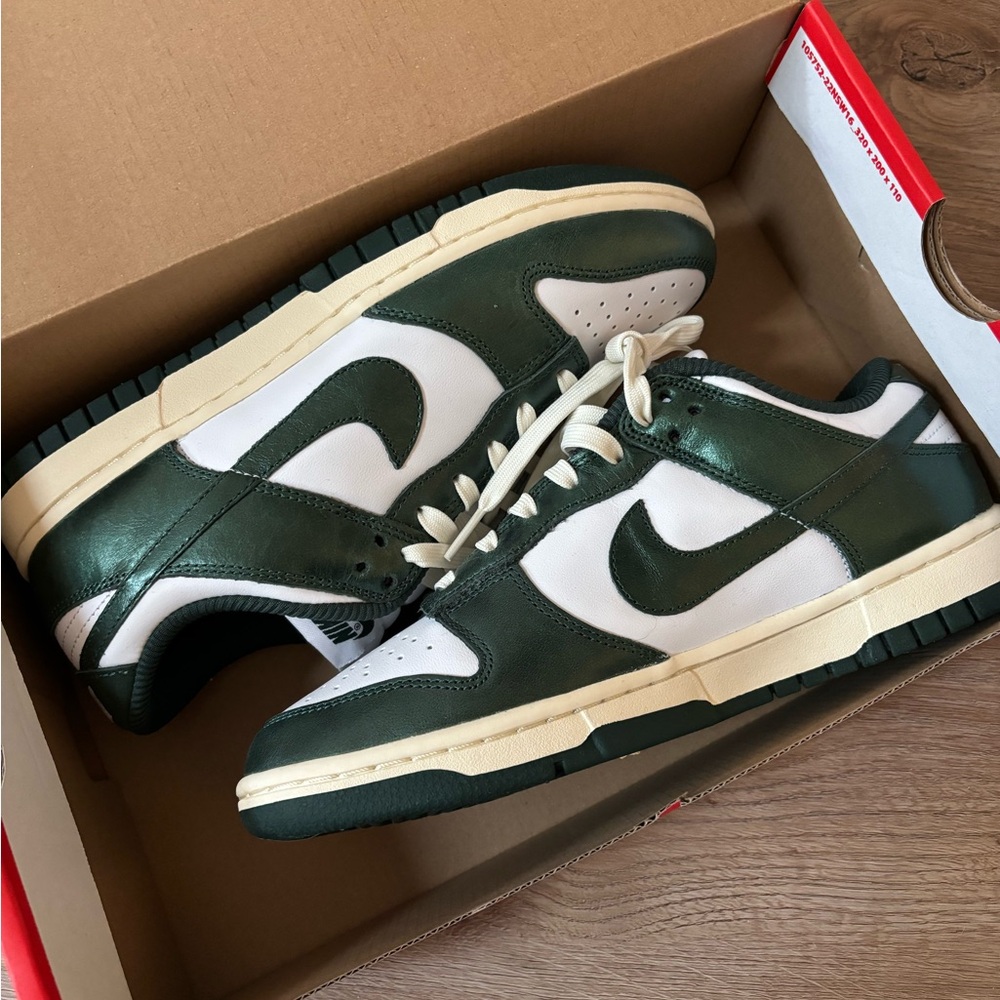 Nike dunks NWT